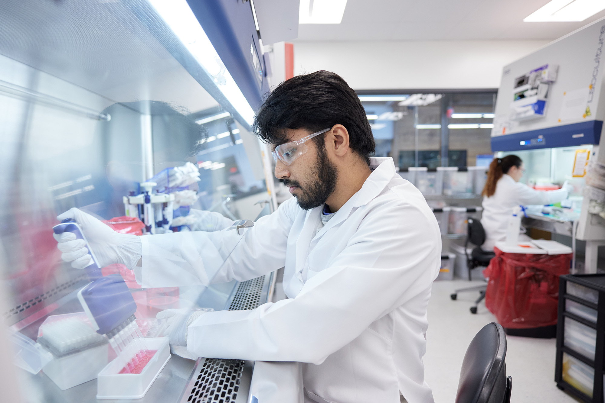 Picture of Ali A. Cell Culture. November 2023